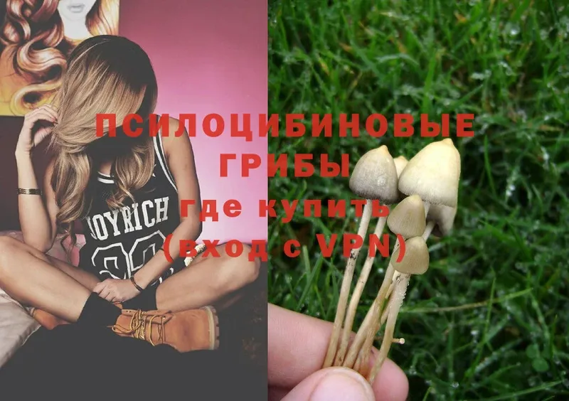 Псилоцибиновые грибы Magic Shrooms  Анапа 